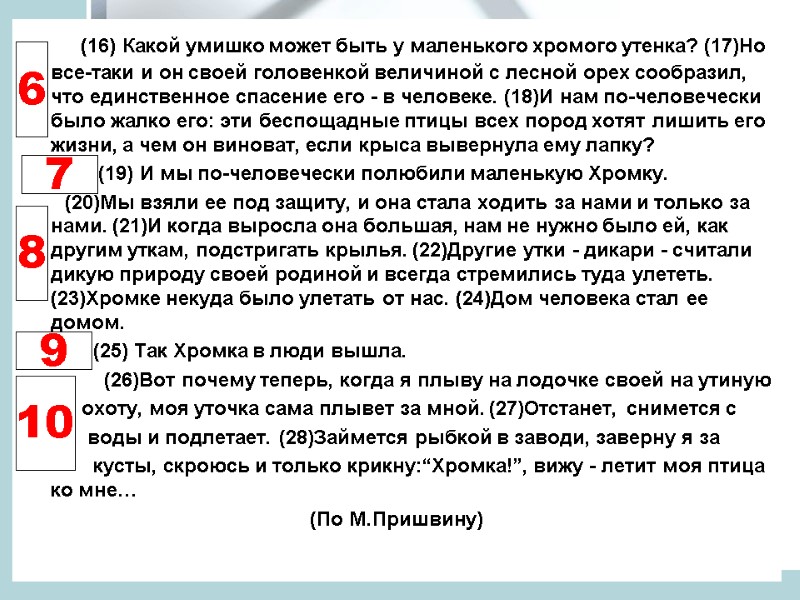 (16) Какой умишко может быть у маленького хромого утенка? (17)Но все-таки и он своей